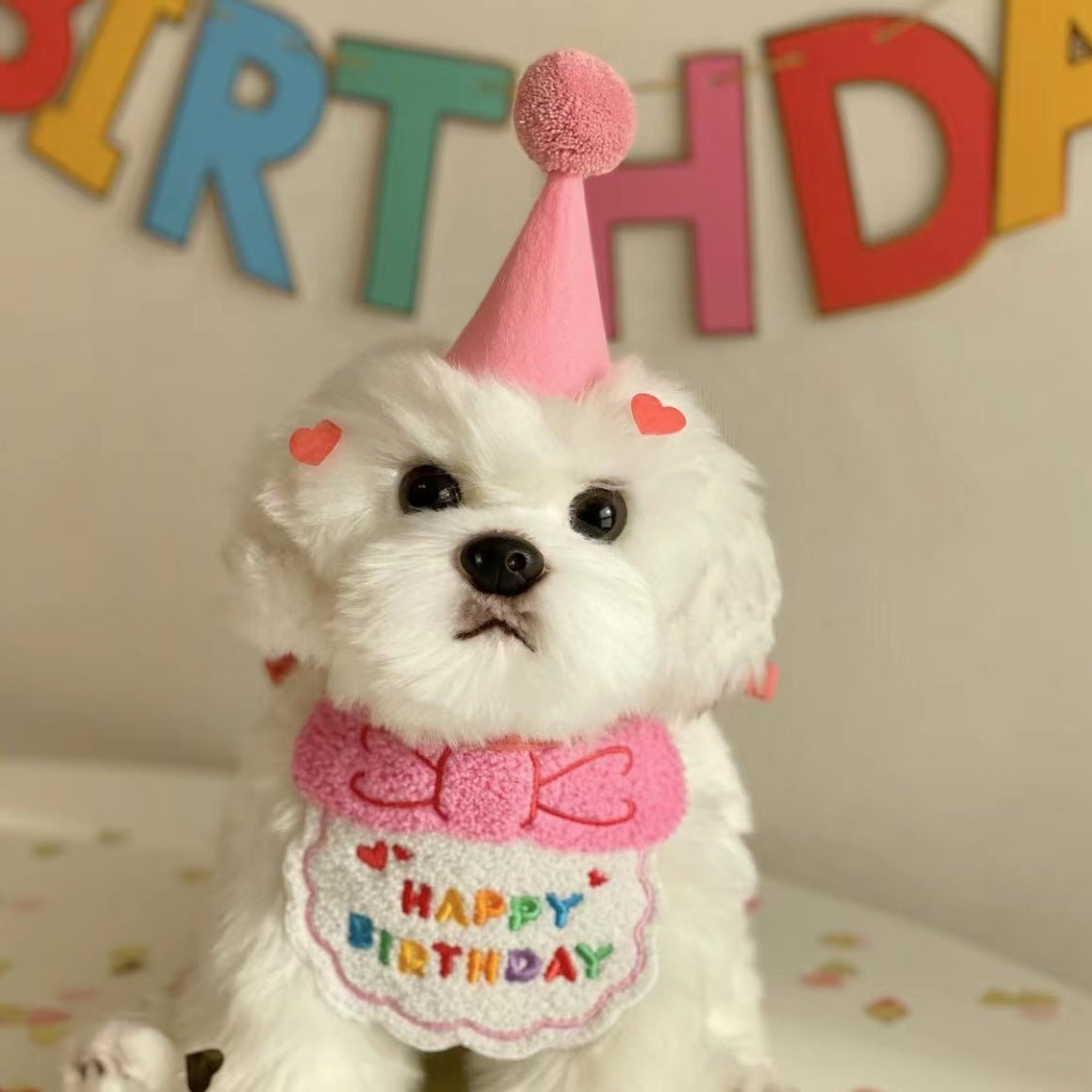 Adorable Pet Birthday Party Set with Hat and Bib!