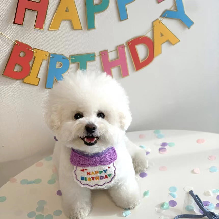 Adorable Pet Birthday Party Set with Hat and Bib!