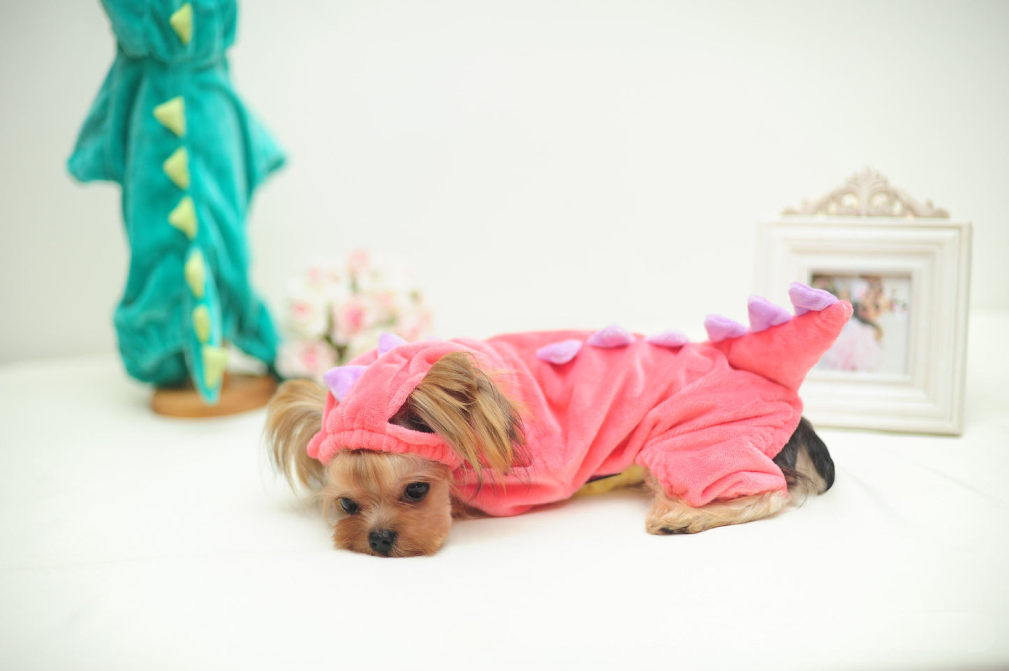 Funny Dinosaur Transformation Costume for Dogs - Halloween Fun!