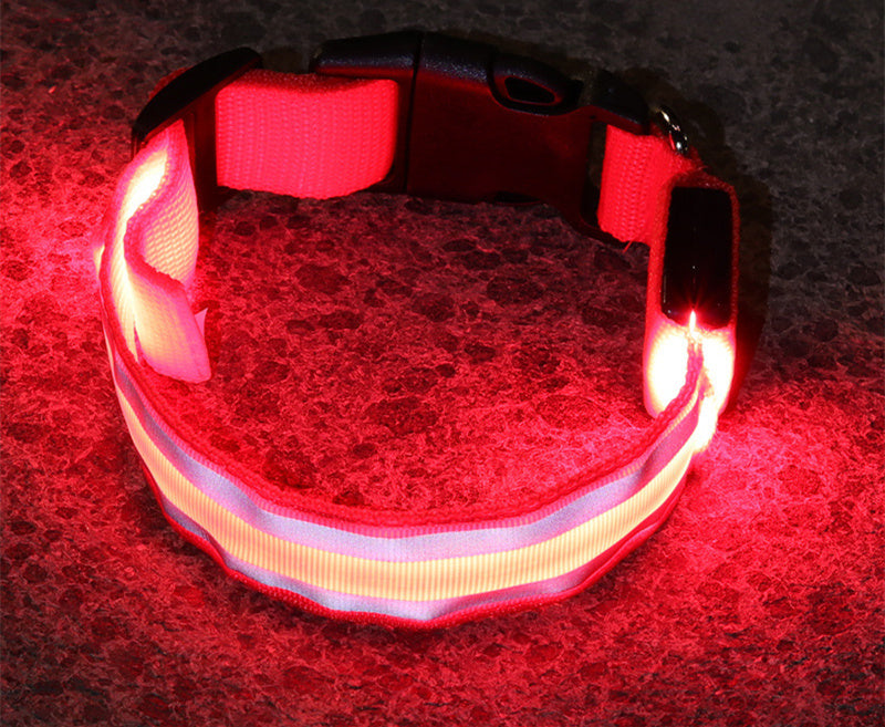 Enchanting LED Glow Dog Collar