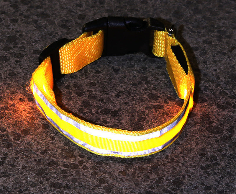 Enchanting LED Glow Dog Collar