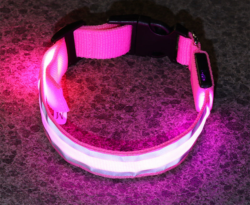 Enchanting LED Glow Dog Collar