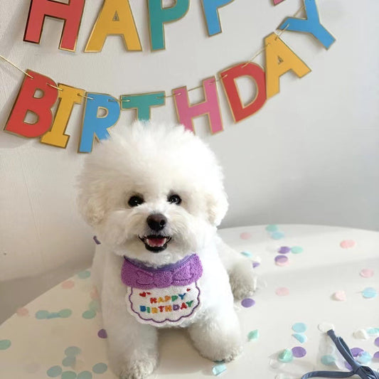 Adorable Pet Birthday Party Set with Hat and Bib!