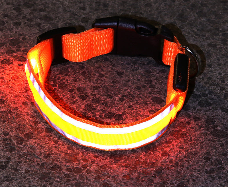 Enchanting LED Glow Dog Collar