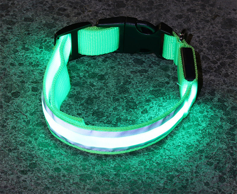 Enchanting LED Glow Dog Collar