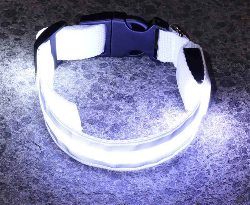 Enchanting LED Glow Dog Collar