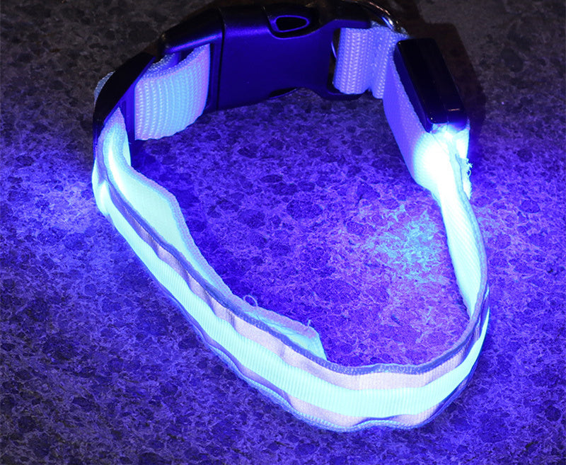 Enchanting LED Glow Dog Collar