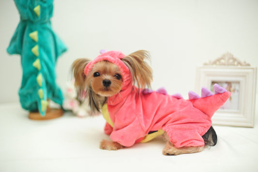 Funny Dinosaur Transformation Costume for Dogs - Halloween Fun!