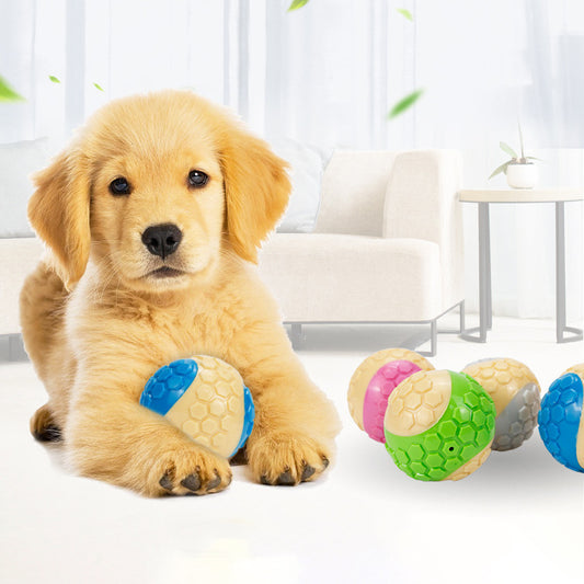 Interactive Dog Chew & Play Toy for Healthy Teeth