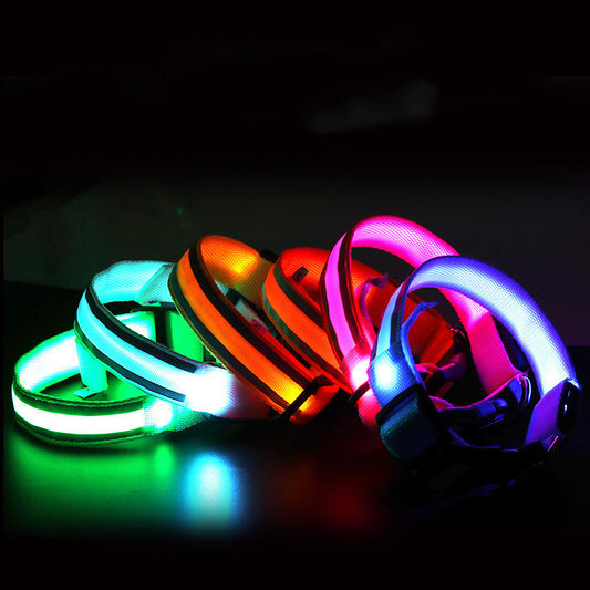 Enchanting LED Glow Dog Collar