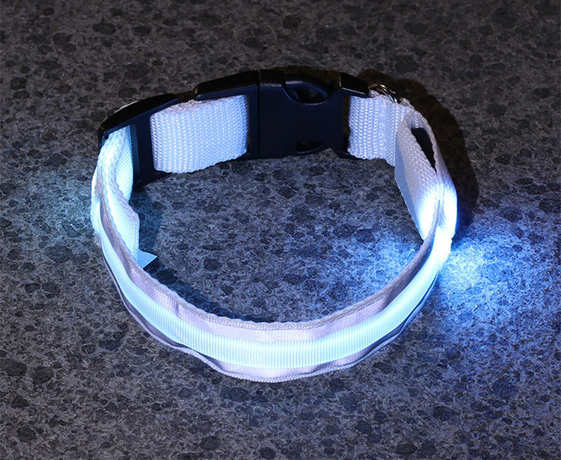 Enchanting LED Glow Dog Collar