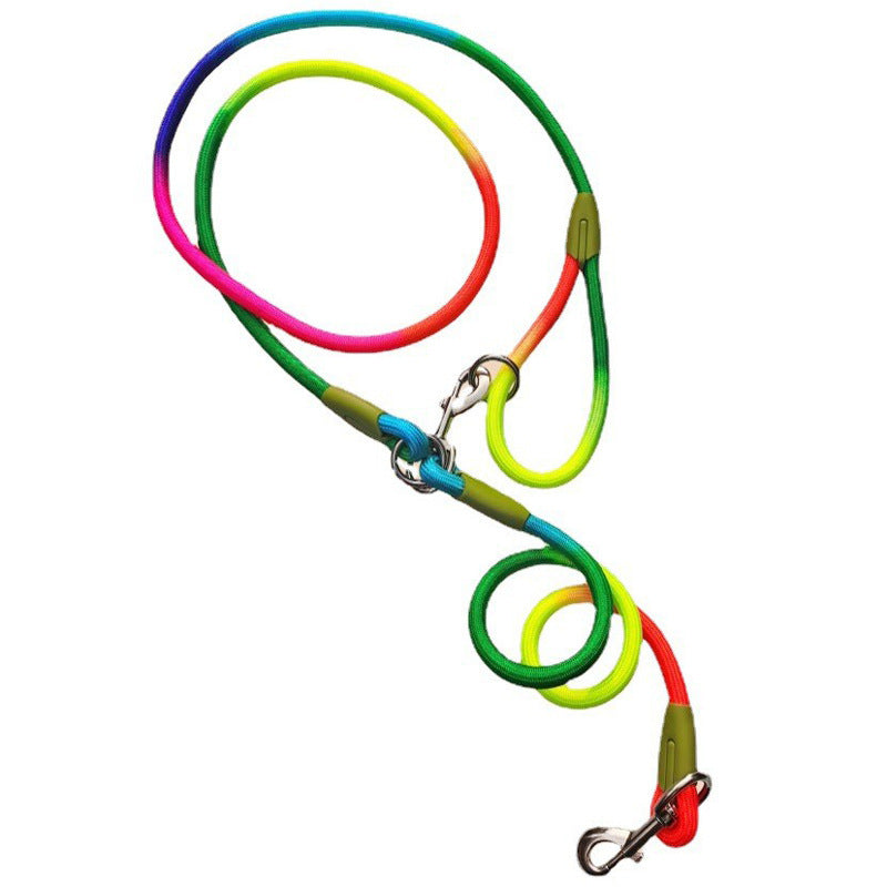 Durable Nylon Round Dog Leash for Everyday Adventures