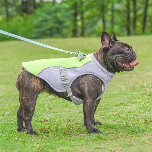 Ultimate Cooling Vest: Keep Your Dog Cool Outdoors