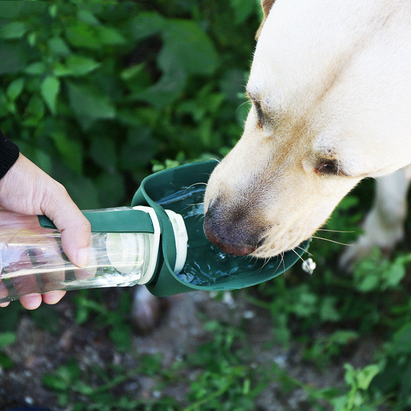 All-in-One Pet Travel Bottle & Foldable Food Bowl!